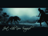 Imagen Enviada