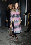 th_02569_celebrity-paradise.com-The_Elder-Sarah_Jessica_Parker_2010-02-15_-_Halston_fashion_show_167_122_558lo.jpg