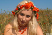 Poppies i4xirc8cbp